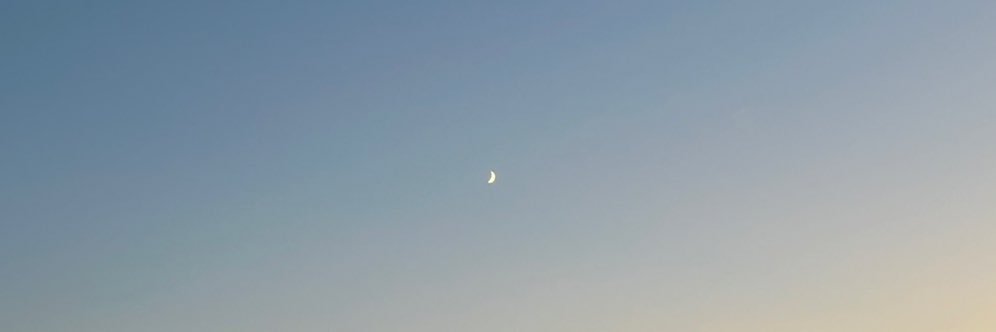 てふ banner
