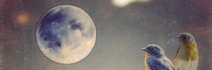 3_Sparrows | Billionaire Club banner