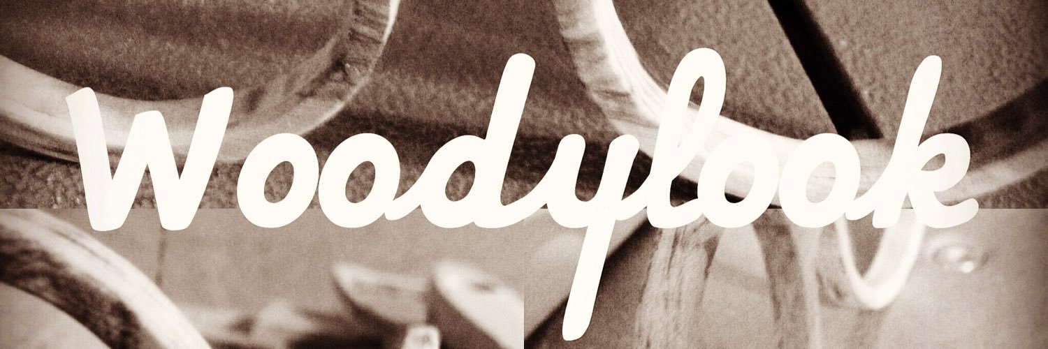 NicoPlechuk's profile banner image