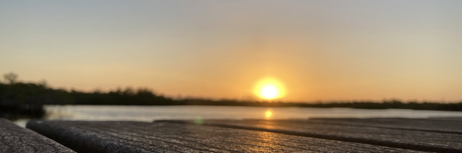 Brian Feingold banner