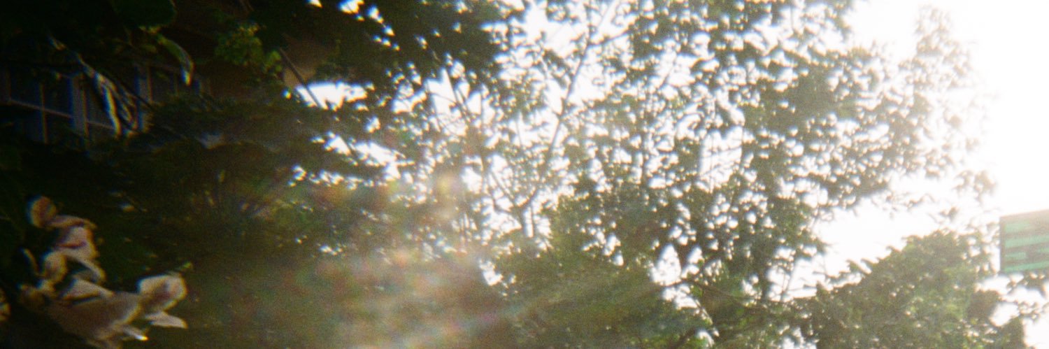 safiaghazali's profile banner image