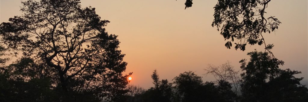 RashmiGS2's profile banner image