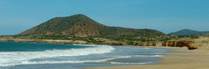 MAMADAS Y CORRIDAS / blowjobs and cumshots 🍼💦💦 banner