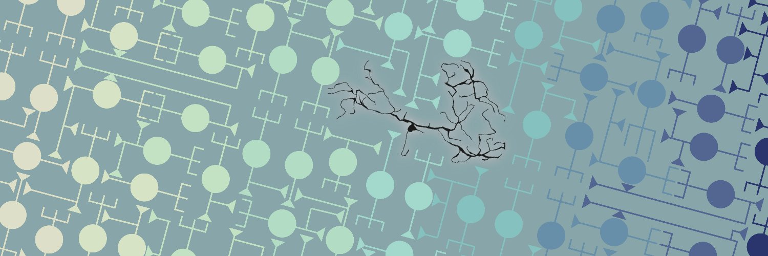 Elisa Galliano's banner