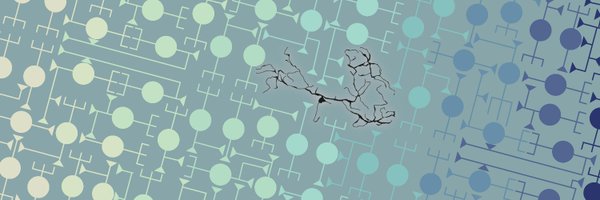 eg_neuro Profile Banner