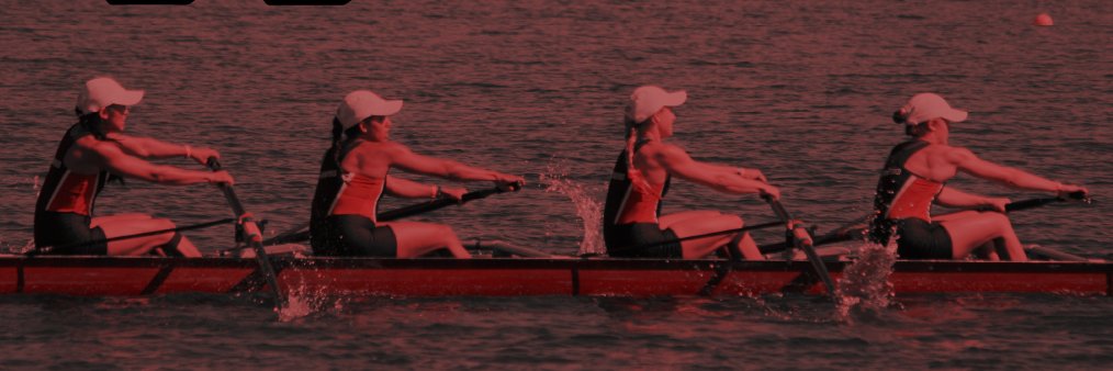 36 Sports Strong banner