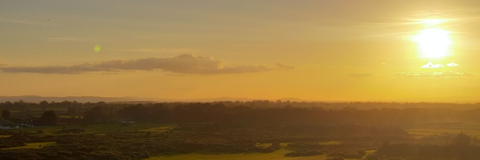plappelbe's profile banner image