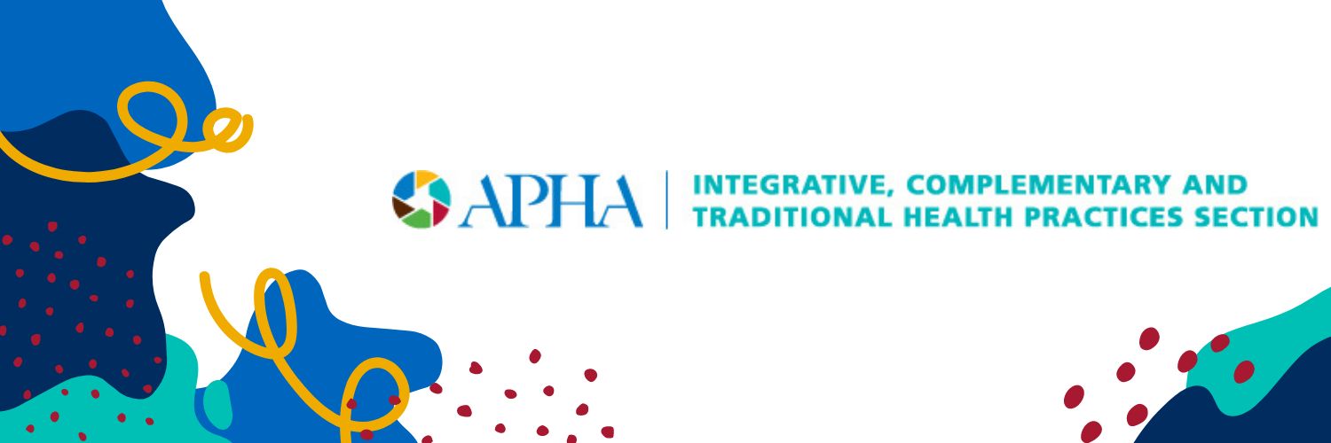 APHA ICTHP Section banner