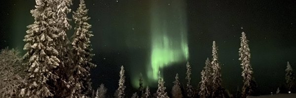 nordic_hunk Profile Banner