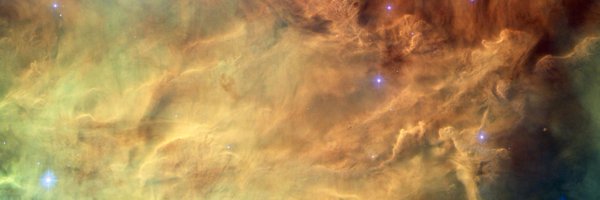 BrunoPresents Profile Banner