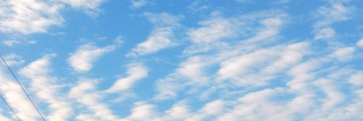 _bruunalee's profile banner image