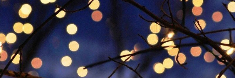 Lyrae🦇✨️ banner