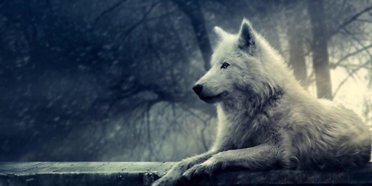 jayro1992's profile banner image