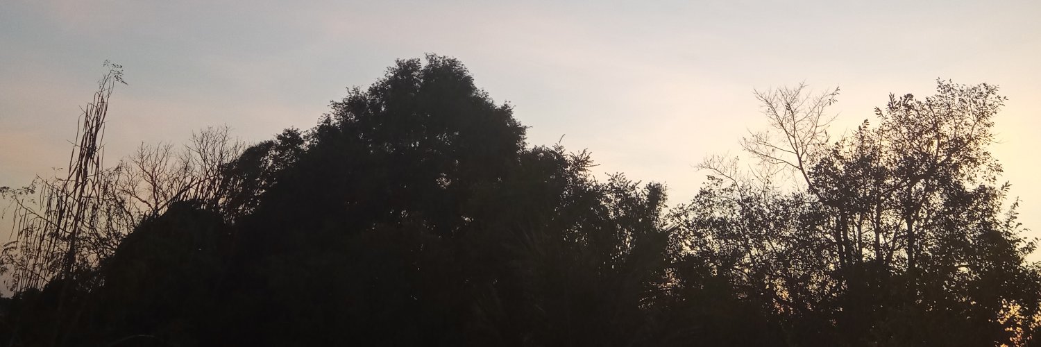 Noschon2018's profile banner image