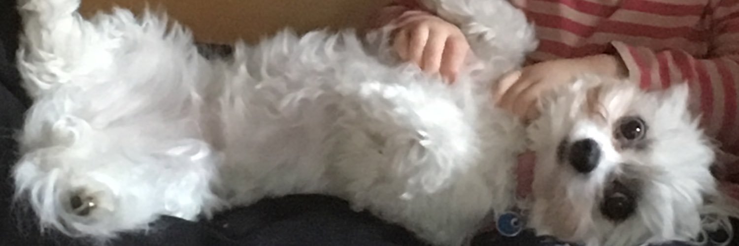 Princessangel25's profile banner image