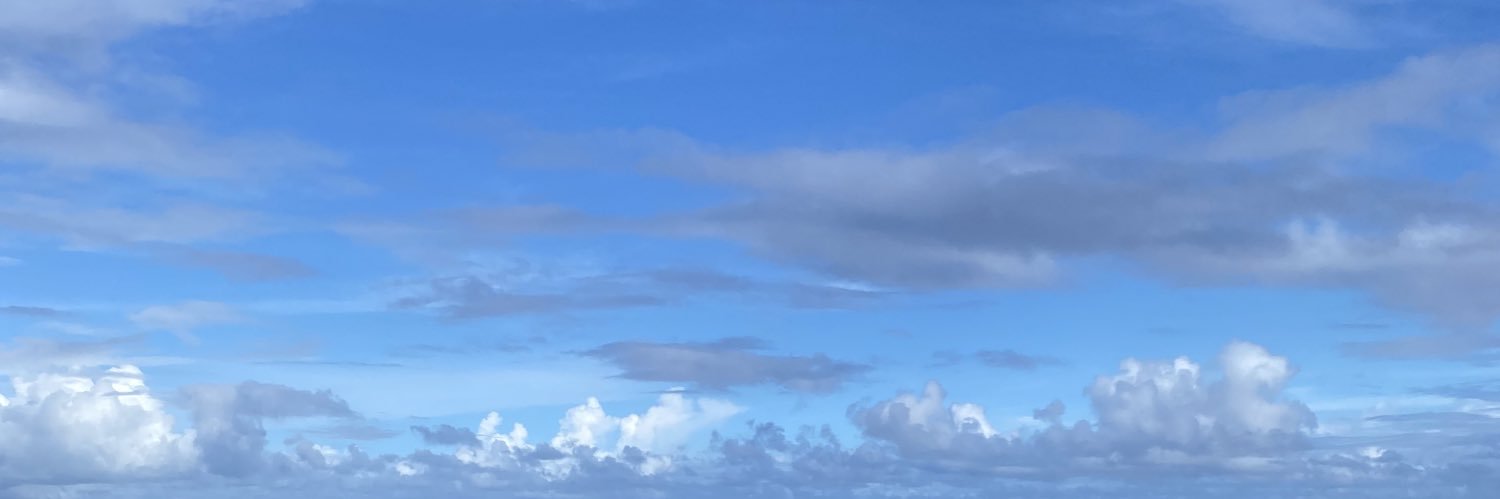 𝓬𝓬 檸檬汽水 banner