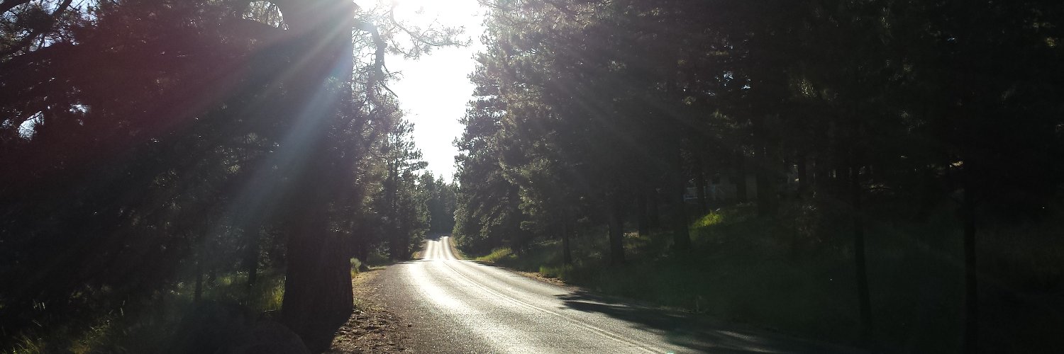 Pasty Gangster banner