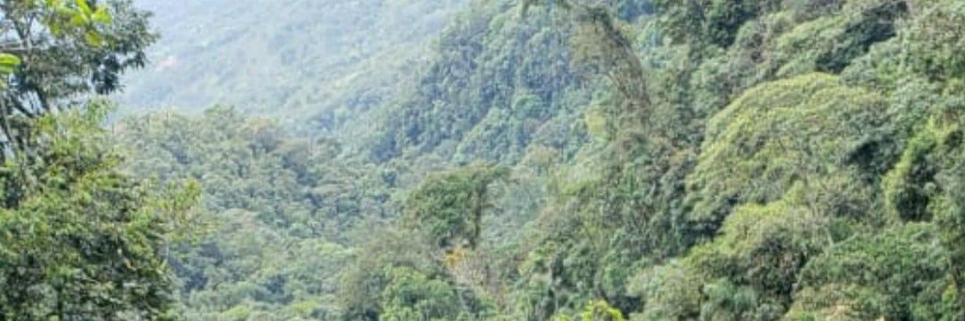 Andywaidy's profile banner image