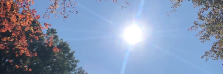jsupremea's profile banner image