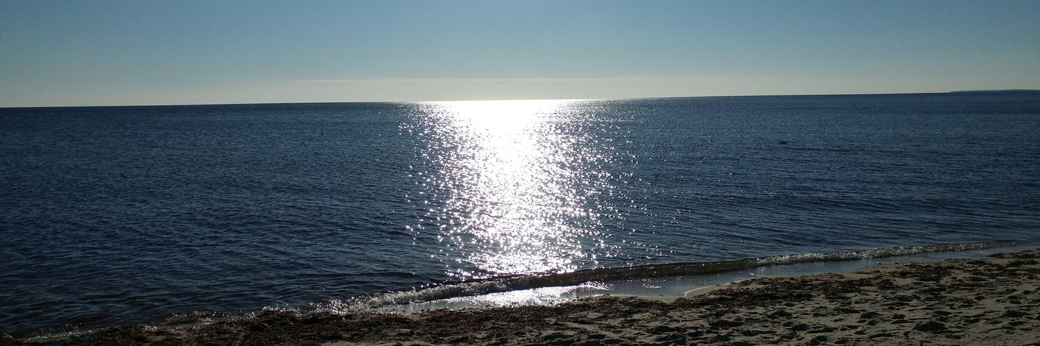 oberg_steve's profile banner image
