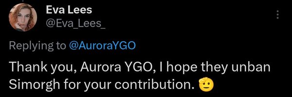 AuroraYGO Profile Banner