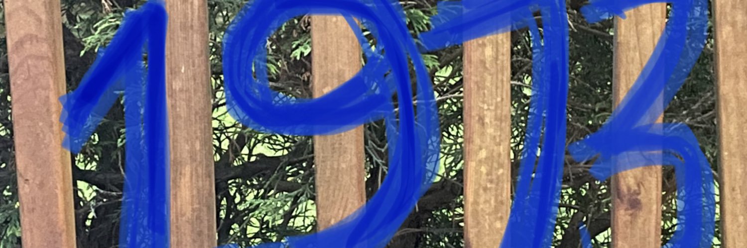 Marysol Castro banner