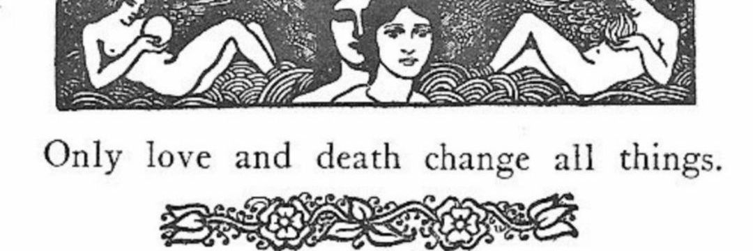 Sofía banner