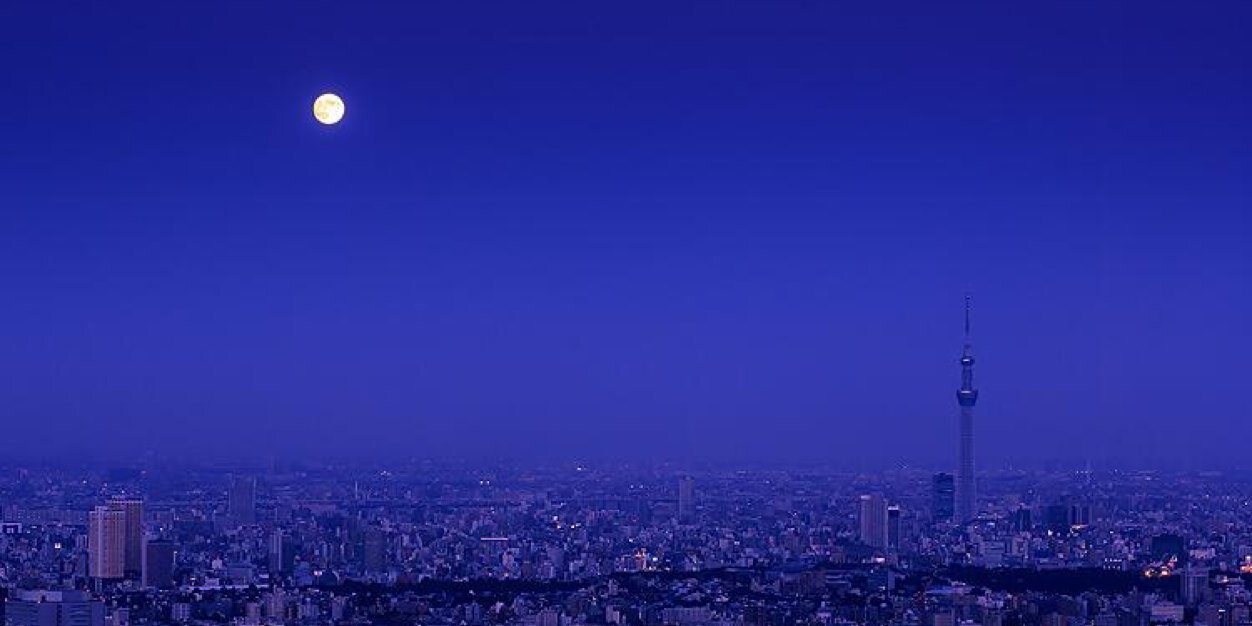 Nya_nya4820's profile banner image