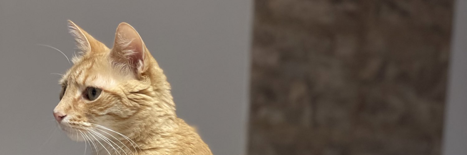 Camii_155's profile banner image