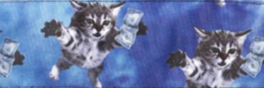 TENKOO6's profile banner image