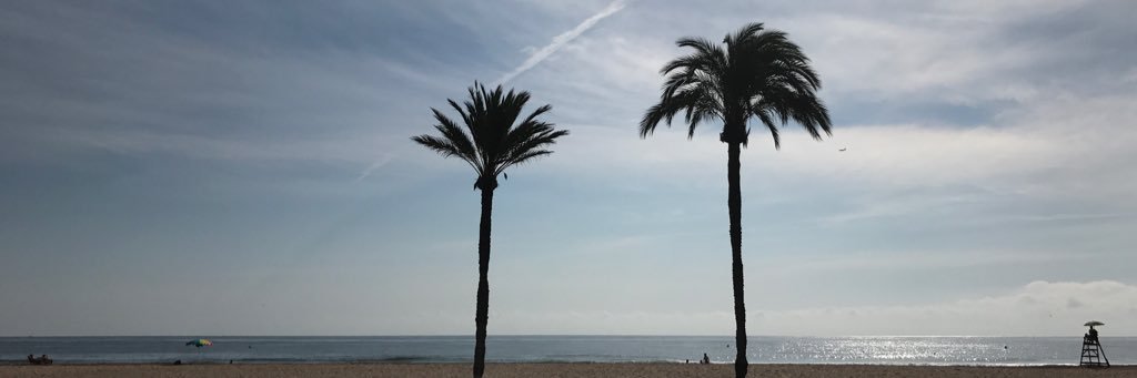 kris_kvi's profile banner image