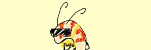 Shrimp banner