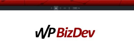WP BizDev banner