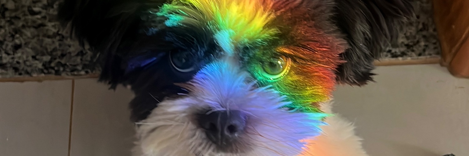 fakingitxzz's profile banner image