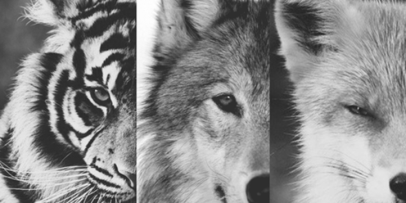 almightyjuju's profile banner image