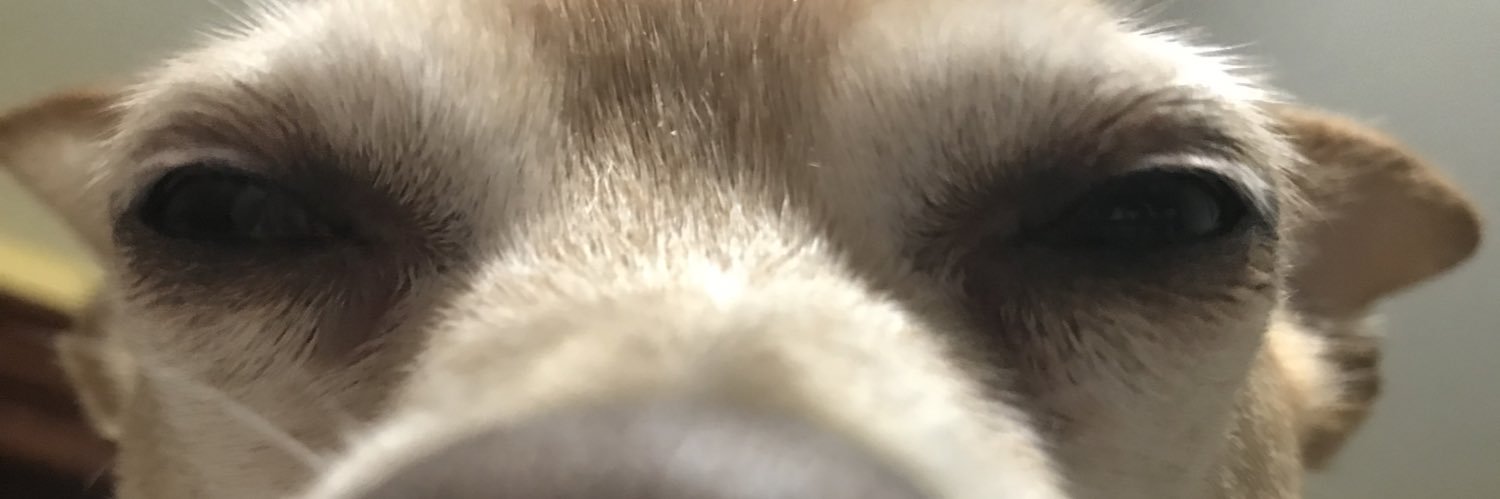 FunHippie3's profile banner image