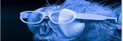 body horror meat cute banner