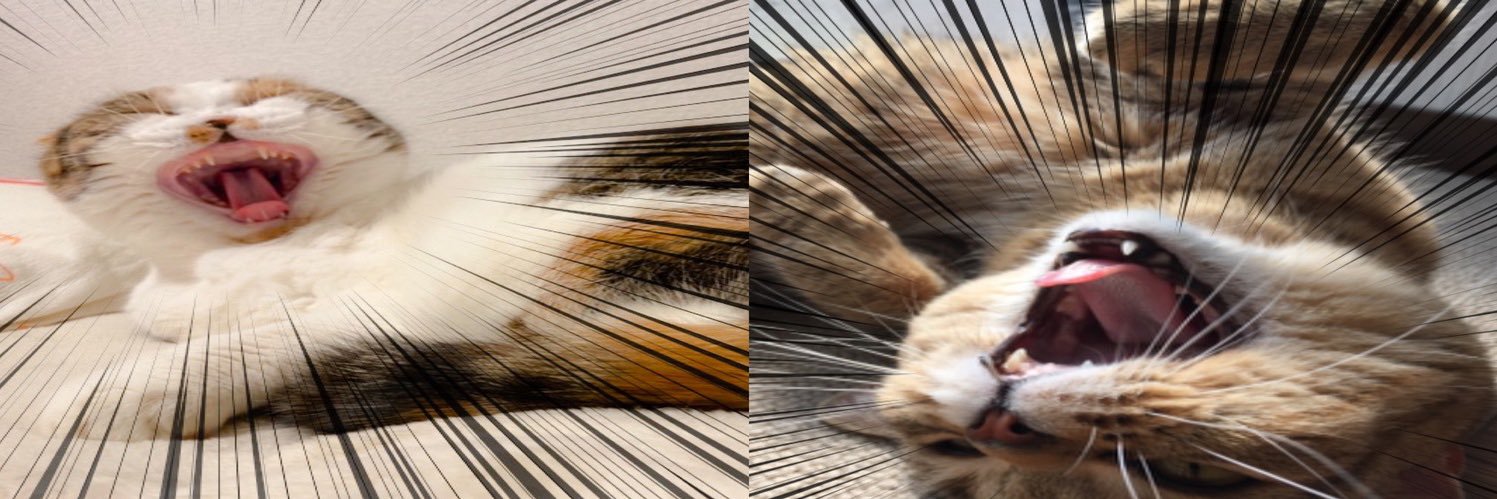 kumatastu's profile banner image