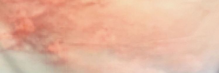 ami banner