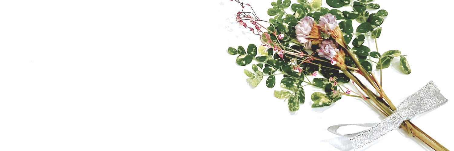 Moreing_Moringa's profile banner image