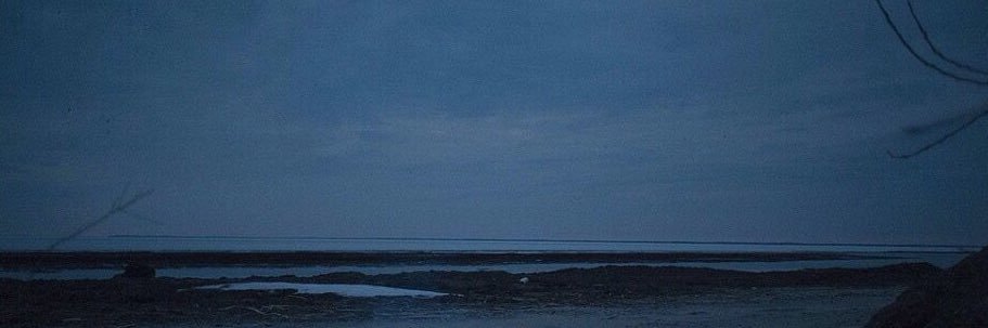 Neesilll's profile banner image