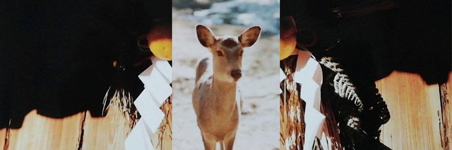 kuroemisaki's profile banner image