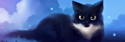 Mister1zz's profile banner image