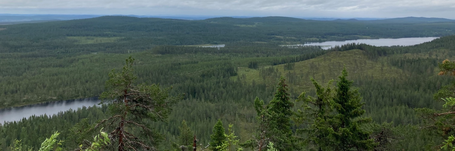 (Peter) Luca Versteegen banner