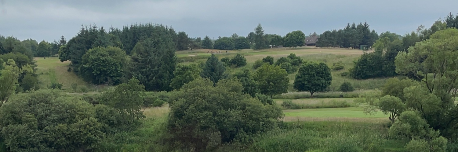 Ryan Houghton banner