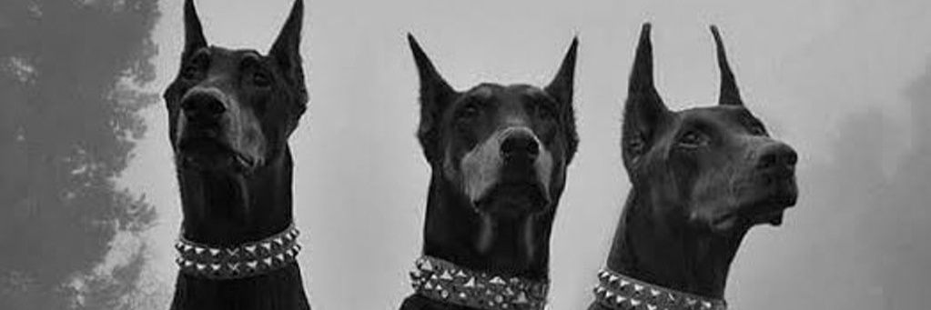 Ti_irkay_Alp's profile banner image