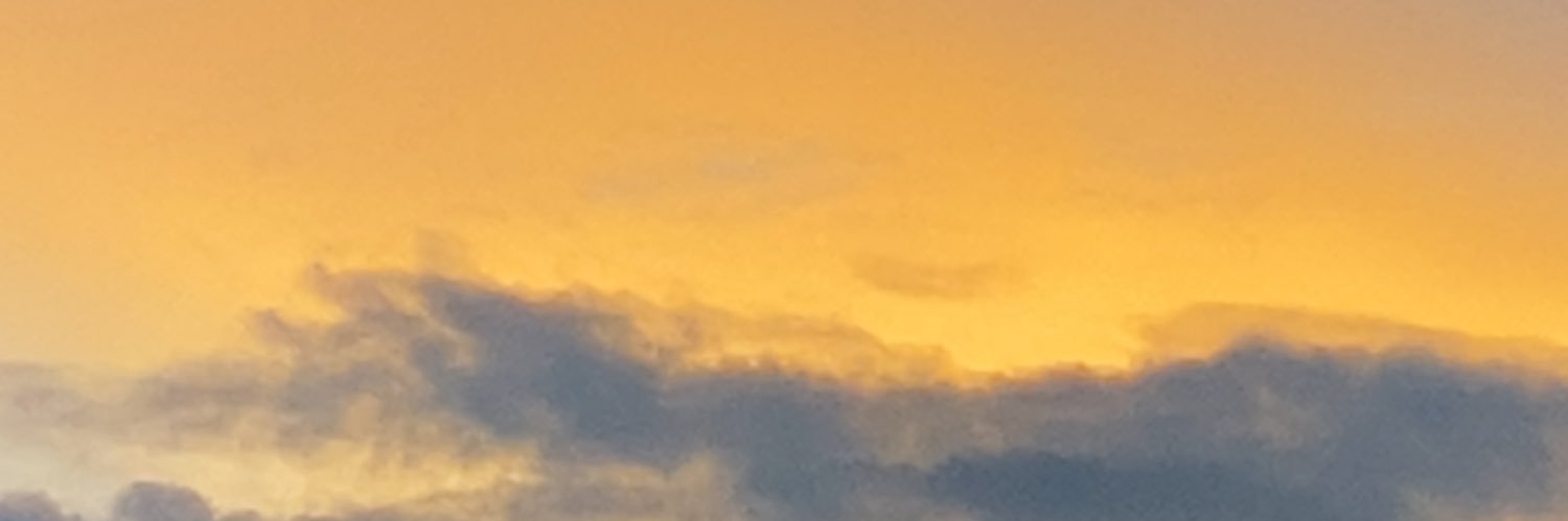 ᴼʳᵃⁿᵍᵉᶜᵃᵗ 🌟 banner