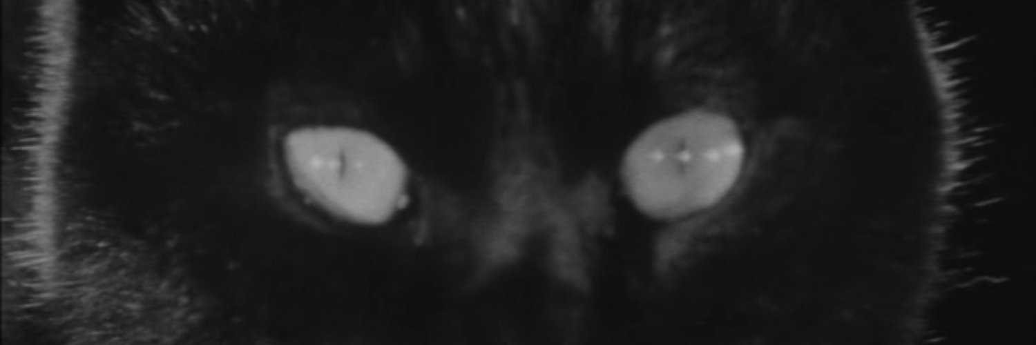 WASTED TALKER banner