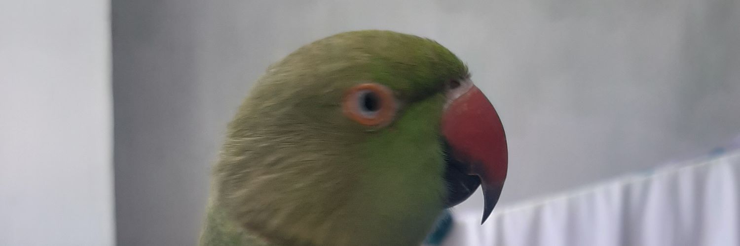 msdian_077's profile banner image