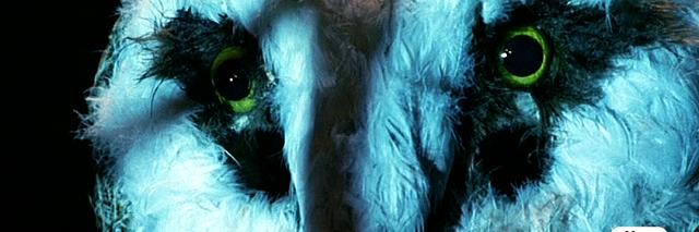 Mrbitss's profile banner image